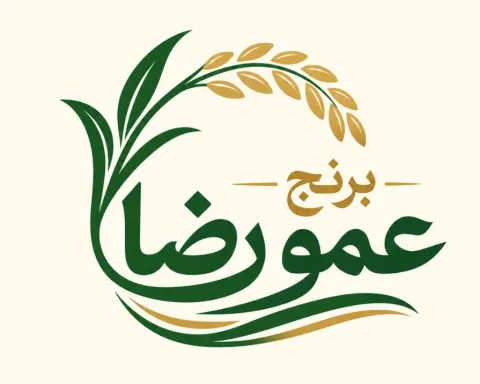 راهنمای جامع تشخیص برنج مرغوب؛ خرید بهترین برنج گرگان و گلستان