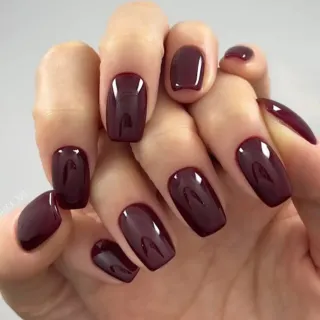 تخفیف ۱۰۰ هزار تومانی ژلیش
