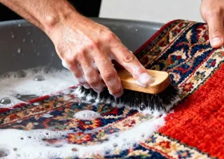 قالیشویی محتشم