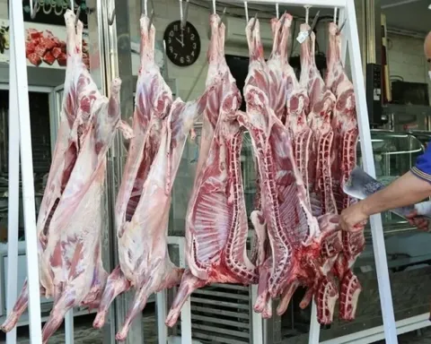 سوپر گوشت کوهستان