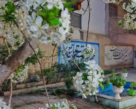 انجمن خوشنویسان شاهرود