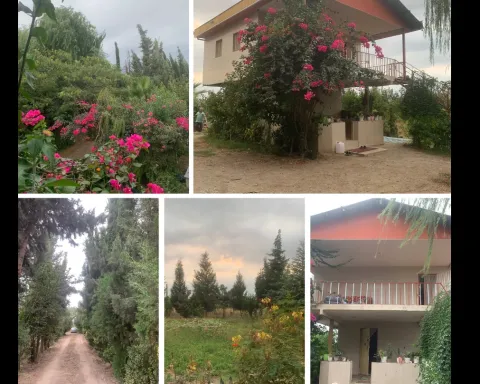 باغ ویلای آریان