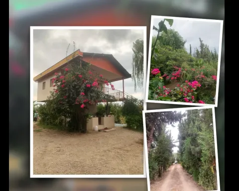 باغ ویلای آریان