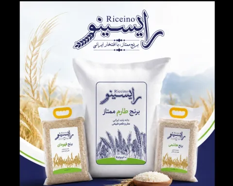 رایسینو