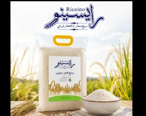 رایسینو