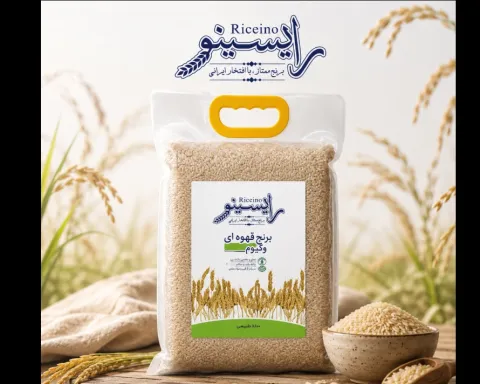رایسینو