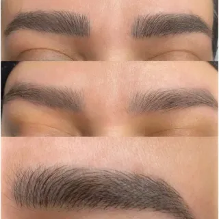آرایش دائم استادی