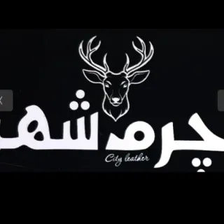فروشگاه چرم شهر