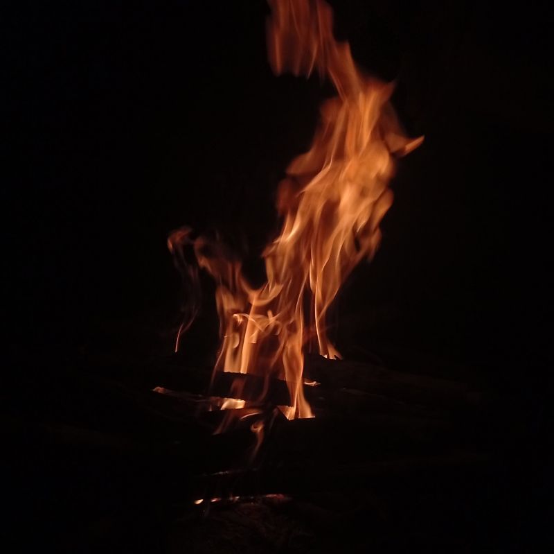 بردیا